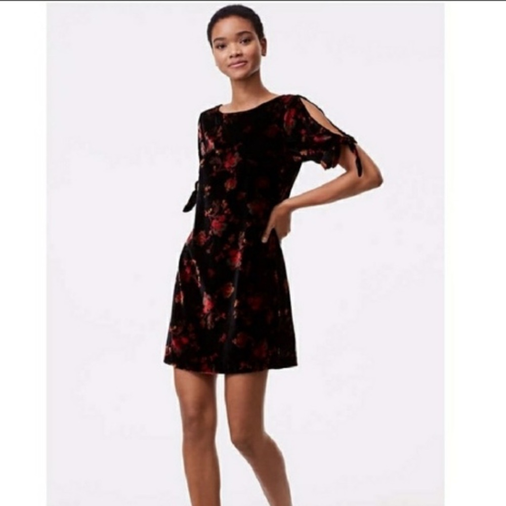 NWT Loft sz M, Velvet rose print dress